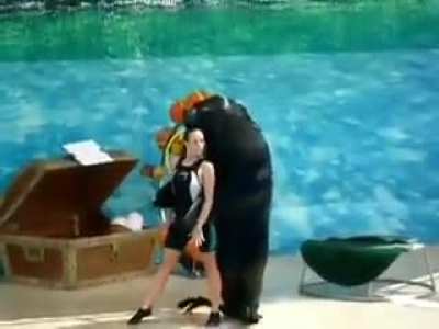 Sea lion dancing tango