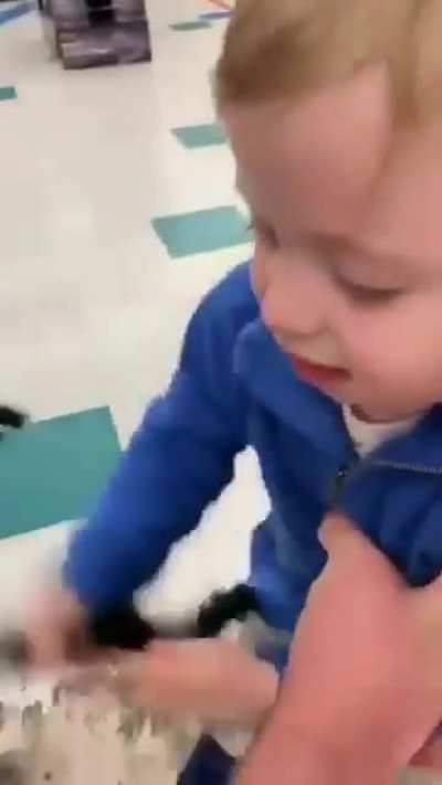Die Spider! Die!