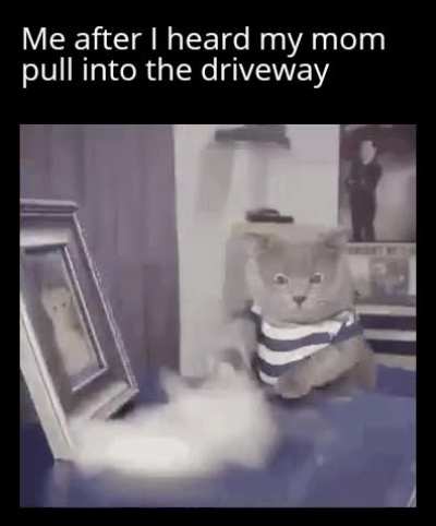 Gotta go fast