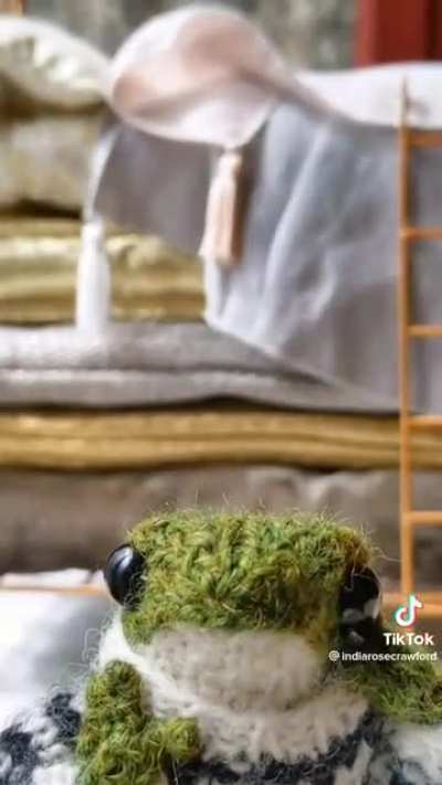 Slow Morning With Froggy ?