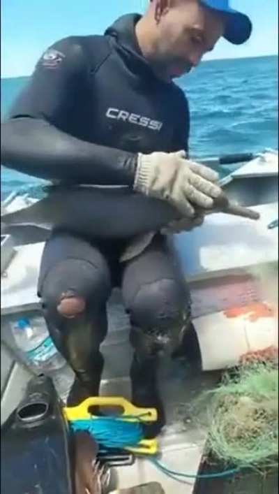 ? Man Saves Baby Dolphin