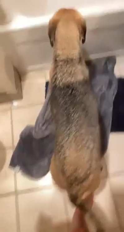 Duke loves baths