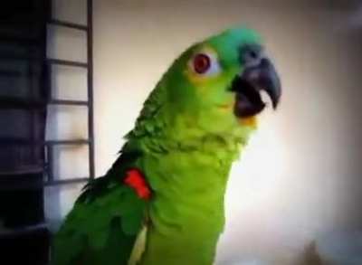Night Queen aria by Mozart "The magic flaute"