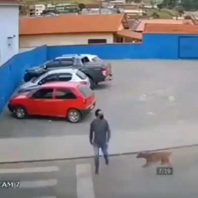 Unusual accident.