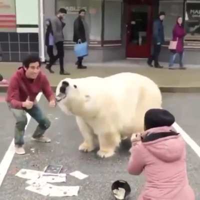 How to draw a realistic Bear