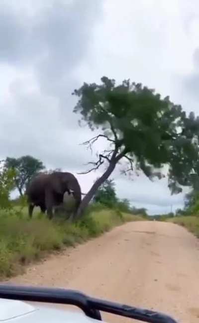 One way to relieve an itchy bum ??