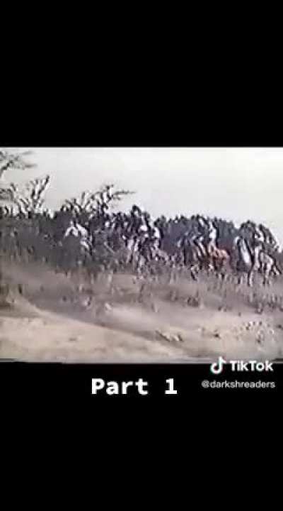 i decided to start a video series of Showing Tiktok "If Footmen tire you what would horses do" as a sorta fun "Spooky time"