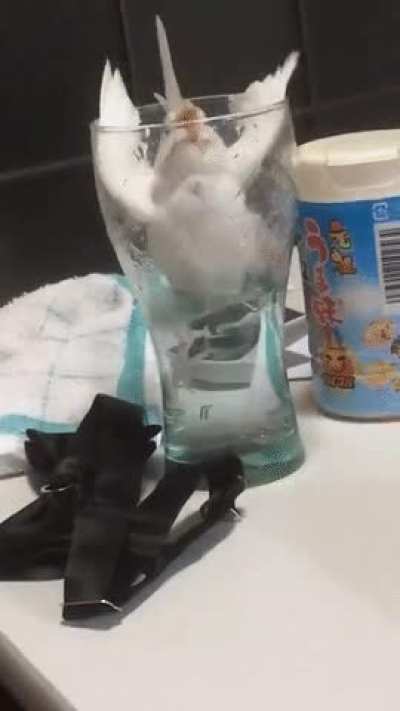 Just a sip of water..