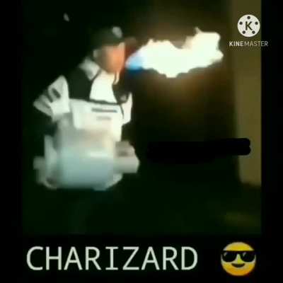 Charizard ?