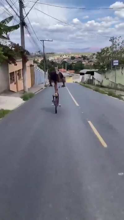 Who needs brakes huh?