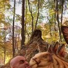 Well someone has a dinosaur fetish