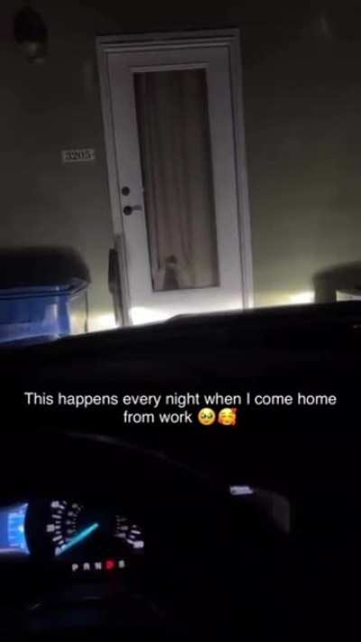 Welcome home