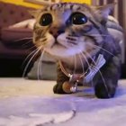 She is ready to protect the world.
