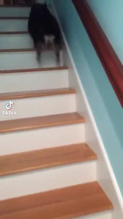 He went up, then straight down