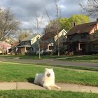 Wait for it......