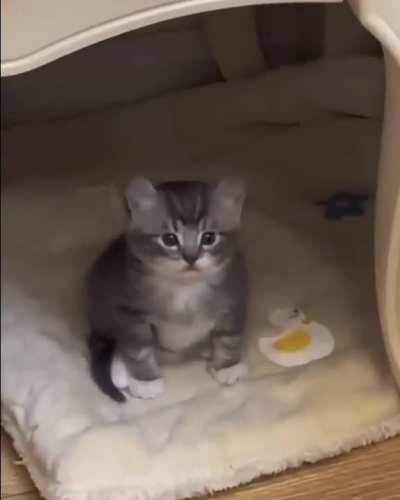 He realized life?