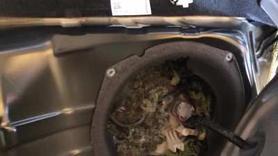 The customer wonders why the car interior smells like fuel. The squatter tells the mechanic to get out and shuts the "door".