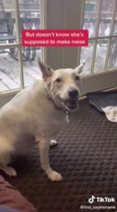 Dog thinks she’s barking