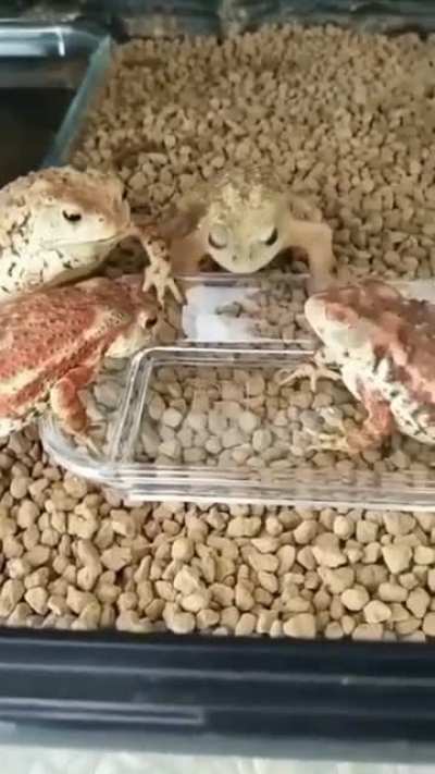 their facial expression at the end.