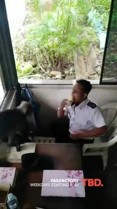 Maybe Maybe Maybe