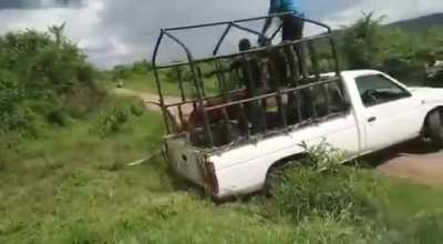 WCGW holding a bull's horn