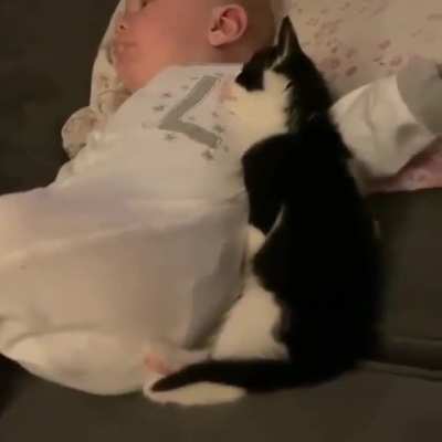 A pair of sweeties