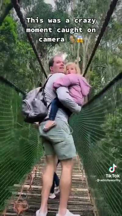 Monkey messing about on a rope bridge