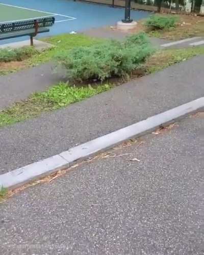 Maybe Maybe Maybe
