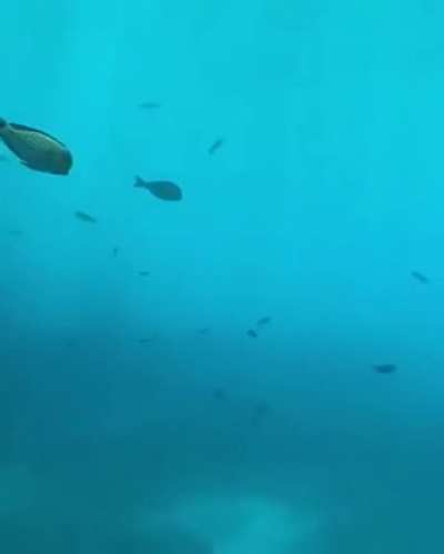 Jules’ Undersea Lodge. The first underwater hotel