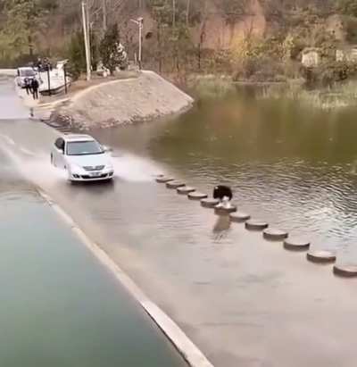 Humanity.