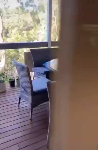 Maybe maybe maybe