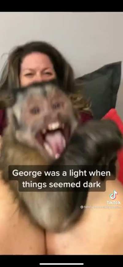 Famous TikTok Star "George" passed away at the age of 12