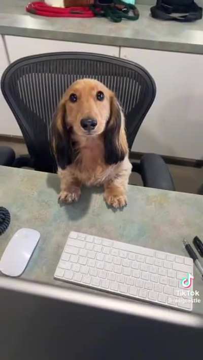 The new hire