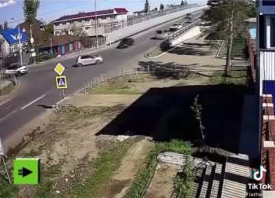 Pair of Dogs oversee dangerous intersection