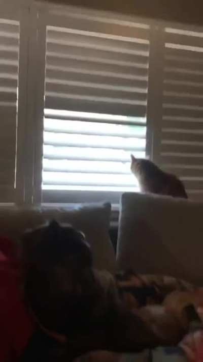 Maybe maybe maybe