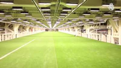 Real Madrid's stadium can move the entire pitch below so they can maintain it.
