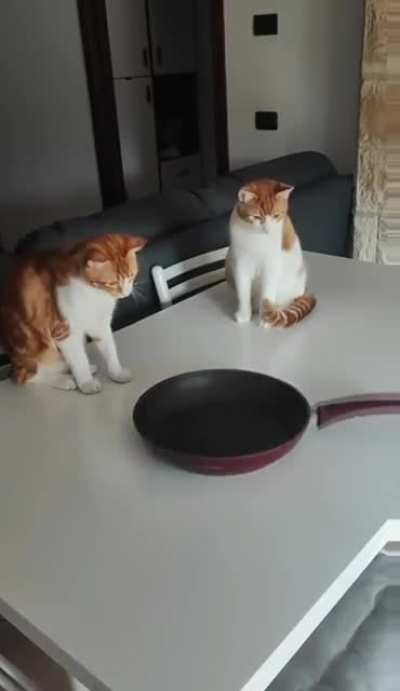 Entertaining pan