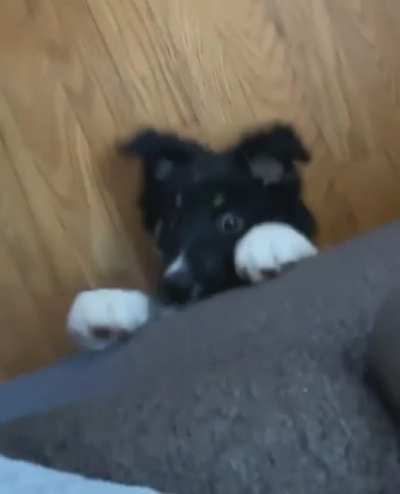 How did I get in here?