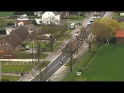 havoc at the bicycle race