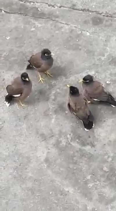 High level meeting of world leaders regarding current situation