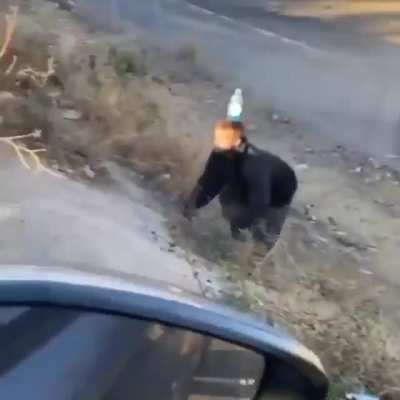 ???