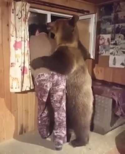 Someone get David Attenborough immediately