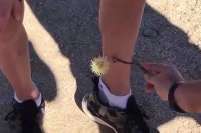 Thats gotta hurt