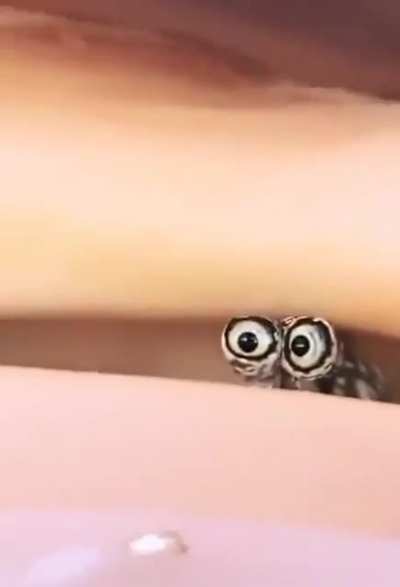 Hello...!