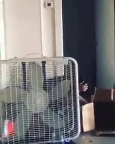 Man almost ends his life to show off.