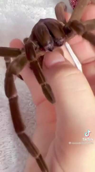 Adorable!