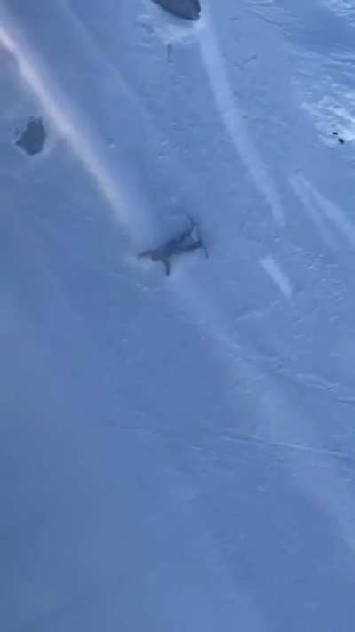 Hope this dude is okay ?