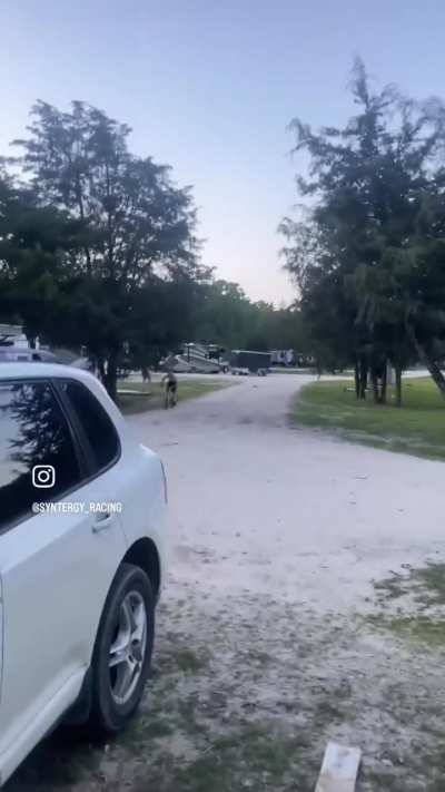 Maybe maybe maybe