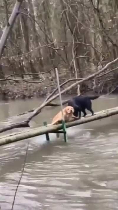 Move bitch, get out the way!