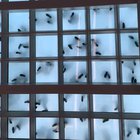 Dancing seen from underneath a glass floor. (STC San Fransisco)